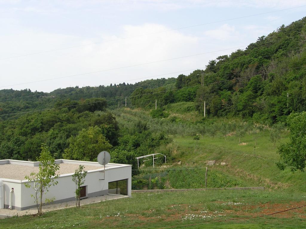 Apartments Rajkovic Labin  Bagian luar foto